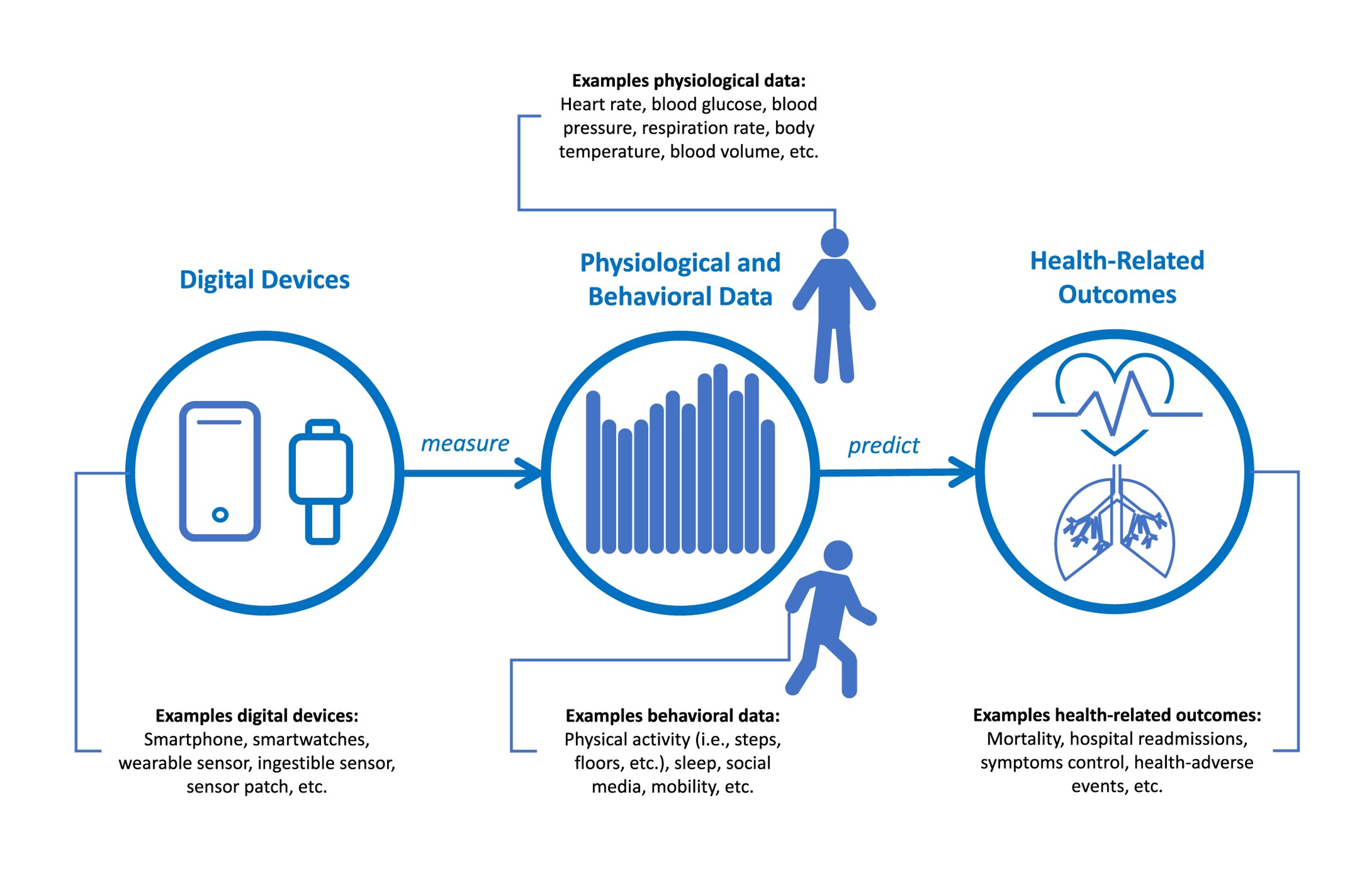 The Anatomy of Digital Biomarkers.